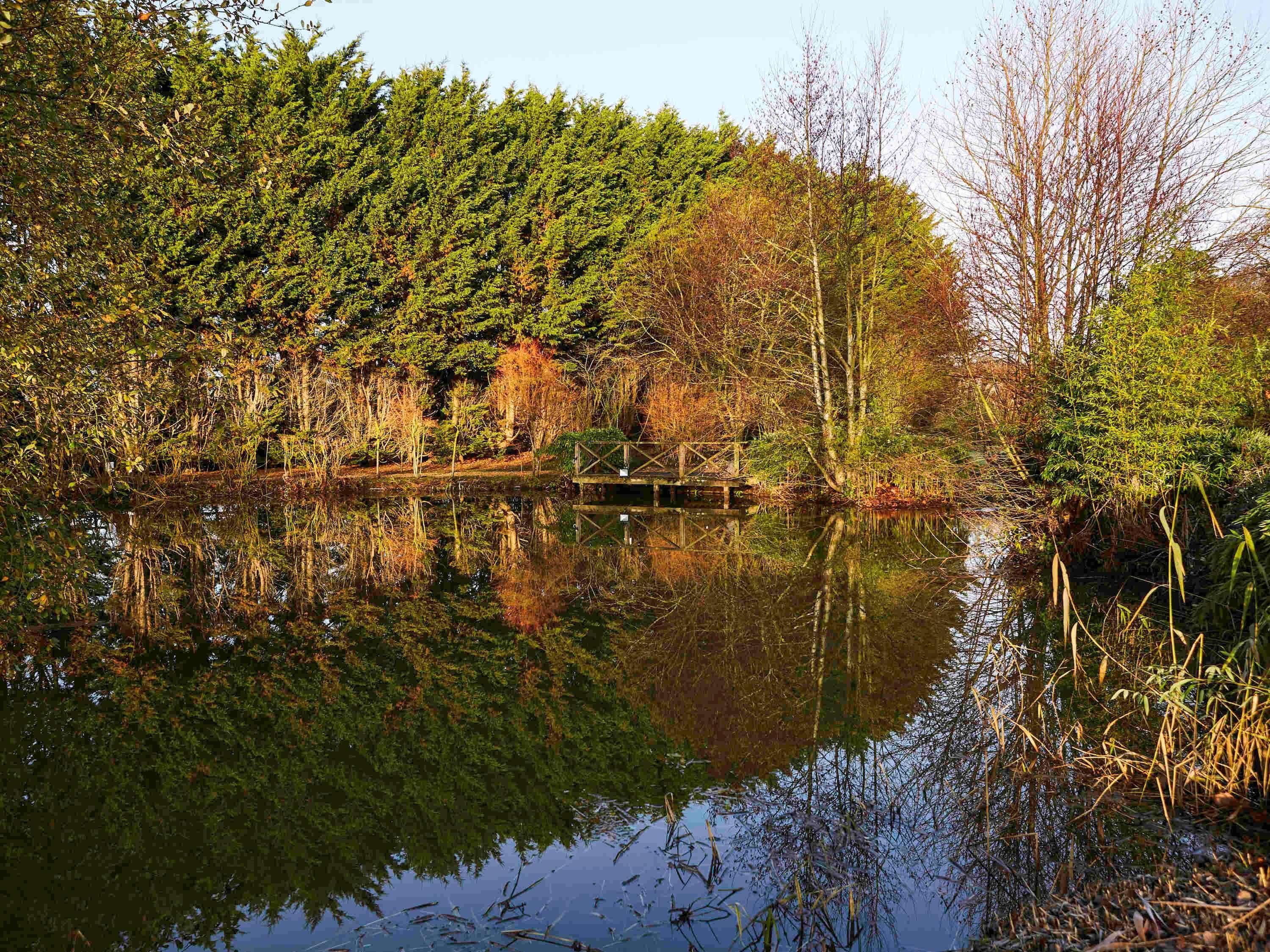 Mercure Newbury West Grange Hotel Thatcham Exteriér fotografie